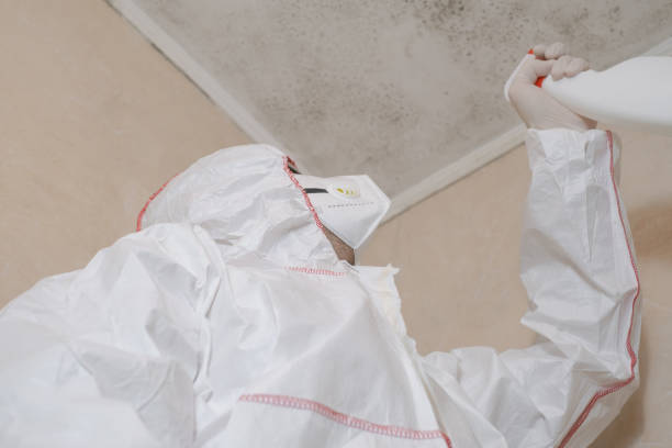 Best Crawl Space Mold Removal  in Holtsville, NY